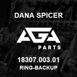 18307.003.01 Dana RING-BACKUP | AGA Parts