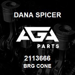 2113666 Dana BRG CONE | AGA Parts