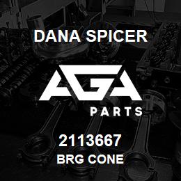 2113667 Dana BRG CONE | AGA Parts