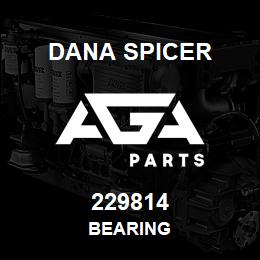 229814 Dana BEARING | AGA Parts