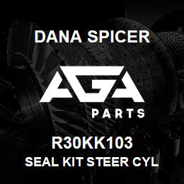 R30KK103 Dana SEAL KIT STEER CYL | AGA Parts