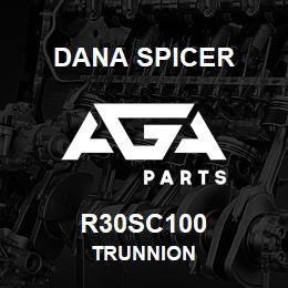 R30SC100 Dana TRUNNION | AGA Parts