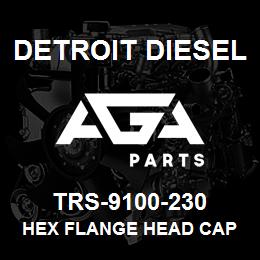 TRS-9100-230 Detroit Diesel Hex Flange Head Cap | AGA Parts
