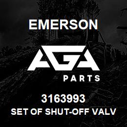 3163993 Emerson Set of Shut-Off Valve and Gasket 2 1/8" | AGA Parts