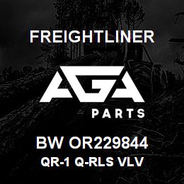 BW OR229844 Freightliner QR-1 Q-RLS VLV | AGA Parts