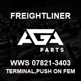 WWS 07821-3403 Freightliner TERMINAL,PUSH ON FEM | AGA Parts