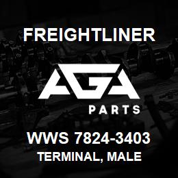 WWS 7824-3403 Freightliner TERMINAL, MALE | AGA Parts