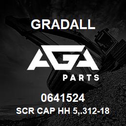 0641524 Gradall SCR CAP HH 5,.312-18X3.000 | AGA Parts