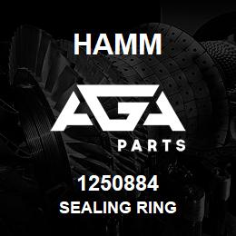 1250884 Hamm SEALING RING | AGA Parts