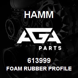 613999 Hamm FOAM RUBBER PROFILE | AGA Parts