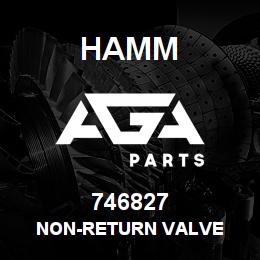 746827 Hamm NON-RETURN VALVE | AGA Parts