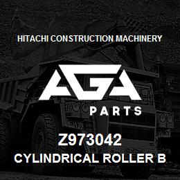 Z973042 Hitachi Construction Machinery CYLINDRICAL ROLLER BEARING | AGA Parts
