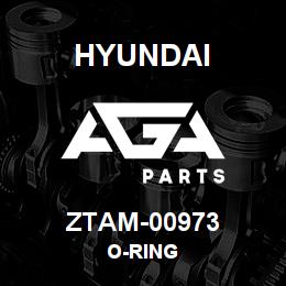 ZTAM-00973 Hyundai Construction O-RING | AGA Parts