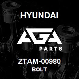 ZTAM-00980 Hyundai Construction BOLT | AGA Parts
