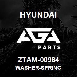 ZTAM-00984 Hyundai Construction WASHER-SPRING | AGA Parts