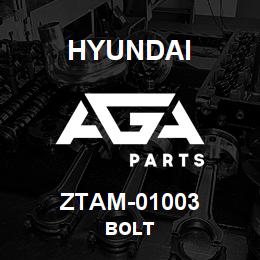 ZTAM-01003 Hyundai Construction BOLT | AGA Parts