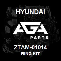 ZTAM-01014 Hyundai Construction RING KIT | AGA Parts