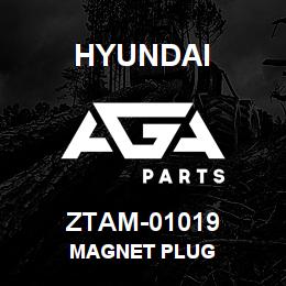 ZTAM-01019 Hyundai Construction MAGNET PLUG | AGA Parts
