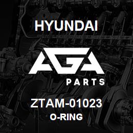 ZTAM-01023 Hyundai Construction O-RING | AGA Parts