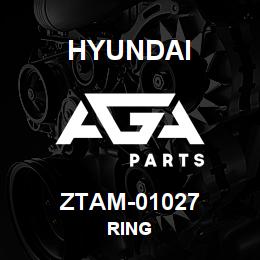ZTAM-01027 Hyundai Construction RING | AGA Parts