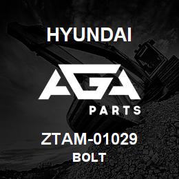 ZTAM-01029 Hyundai Construction BOLT | AGA Parts
