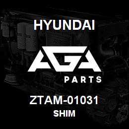 ZTAM-01031 Hyundai Construction SHIM | AGA Parts