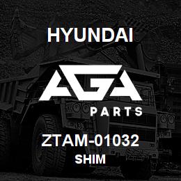 ZTAM-01032 Hyundai Construction SHIM | AGA Parts