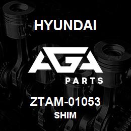 ZTAM-01053 Hyundai Construction SHIM | AGA Parts