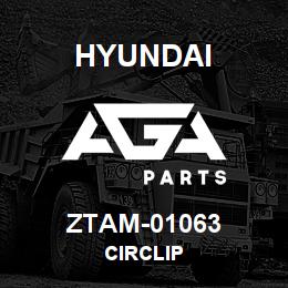 ZTAM-01063 Hyundai Construction CIRCLIP | AGA Parts