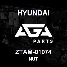ZTAM-01074 Hyundai Construction NUT | AGA Parts