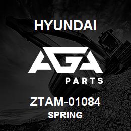 ZTAM-01084 Hyundai Construction SPRING | AGA Parts