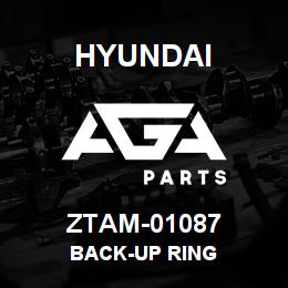 ZTAM-01087 Hyundai Construction BACK-UP RING | AGA Parts