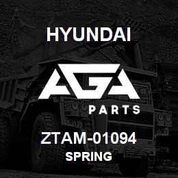 ZTAM-01094 Hyundai Construction SPRING | AGA Parts