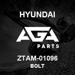 ZTAM-01096 Hyundai Construction BOLT | AGA Parts