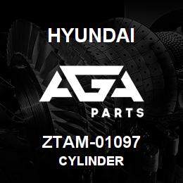 ZTAM-01097 Hyundai Construction CYLINDER | AGA Parts