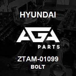 ZTAM-01099 Hyundai Construction BOLT | AGA Parts