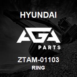 ZTAM-01103 Hyundai Construction RING | AGA Parts