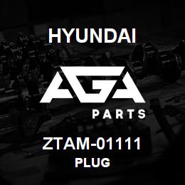 ZTAM-01111 Hyundai Construction PLUG | AGA Parts
