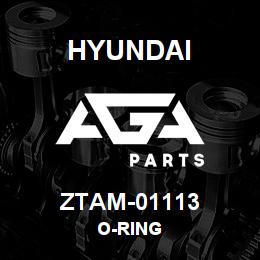 ZTAM-01113 Hyundai Construction O-RING | AGA Parts