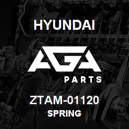 ZTAM-01120 Hyundai Construction SPRING | AGA Parts