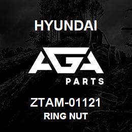 ZTAM-01121 Hyundai Construction RING NUT | AGA Parts