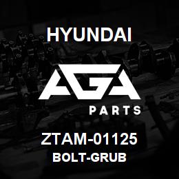 ZTAM-01125 Hyundai Construction BOLT-GRUB | AGA Parts