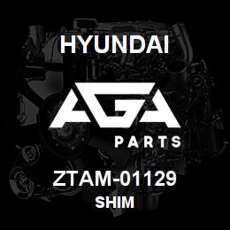 ZTAM-01129 Hyundai Construction SHIM | AGA Parts