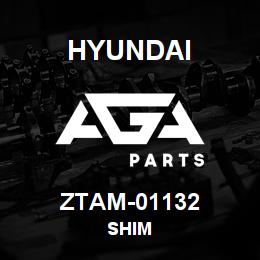 ZTAM-01132 Hyundai Construction SHIM | AGA Parts
