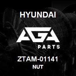 ZTAM-01141 Hyundai Construction NUT | AGA Parts