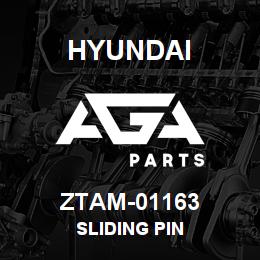 ZTAM-01163 Hyundai Construction SLIDING PIN | AGA Parts