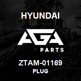 ZTAM-01169 Hyundai Construction PLUG | AGA Parts