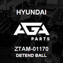 ZTAM-01170 Hyundai Construction DETEND BALL | AGA Parts