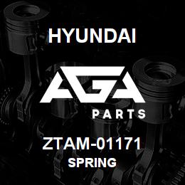 ZTAM-01171 Hyundai Construction SPRING | AGA Parts