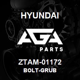 ZTAM-01172 Hyundai Construction BOLT-GRUB | AGA Parts